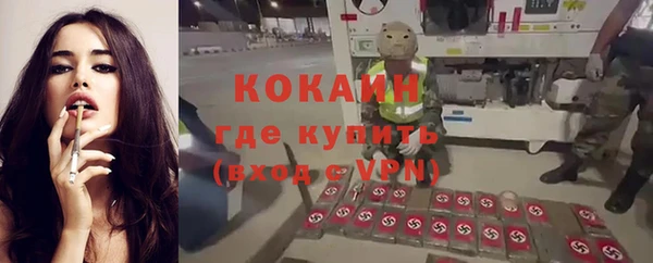 спайс Алексин