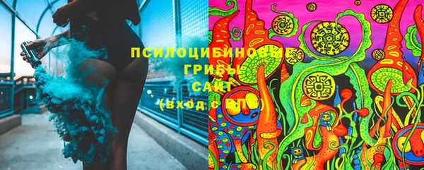 спайс Алексин
